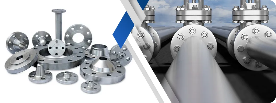 Nickel 201 Low-Carbon Pure Nickel Flanges